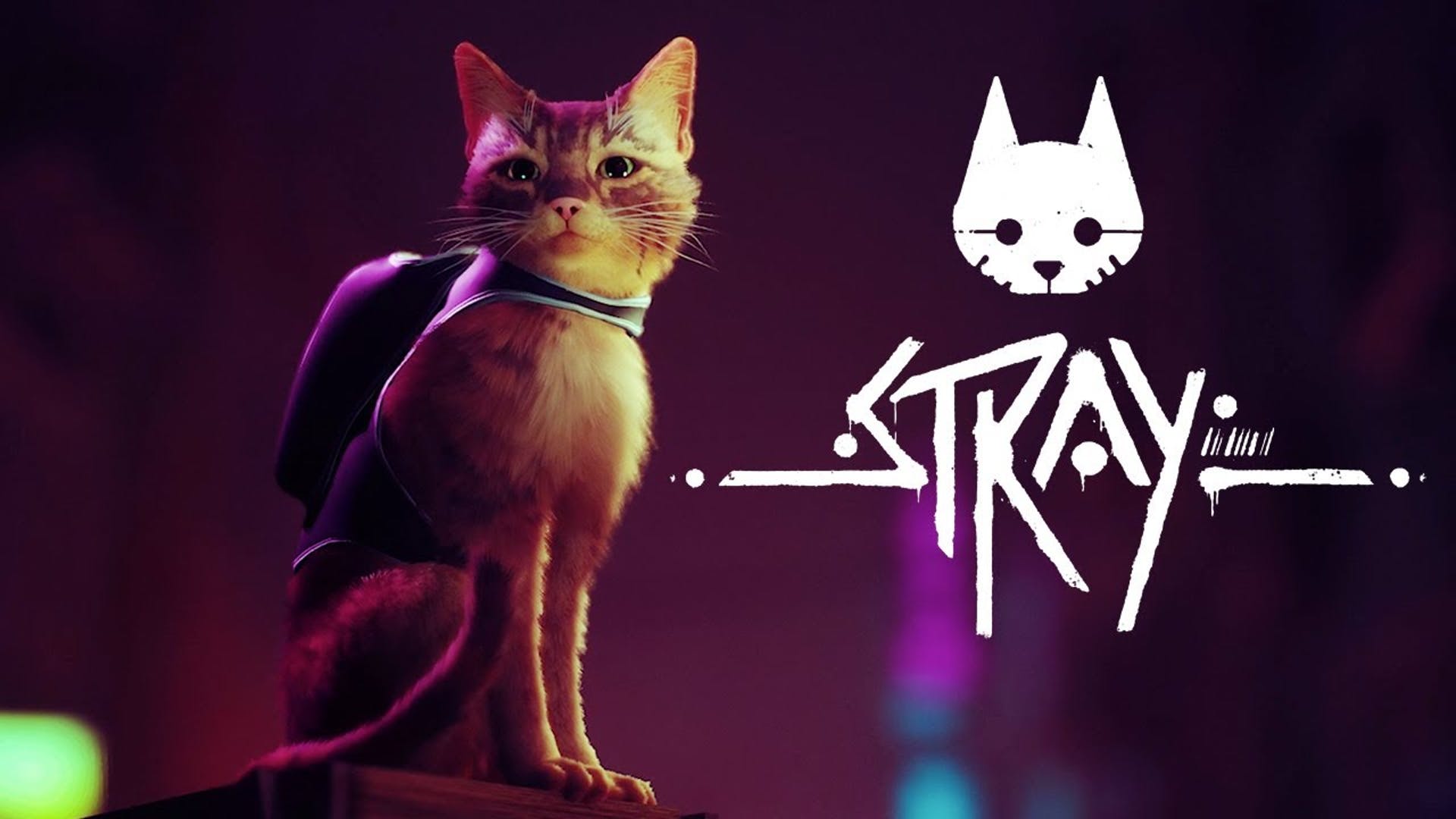 for windows download Stray