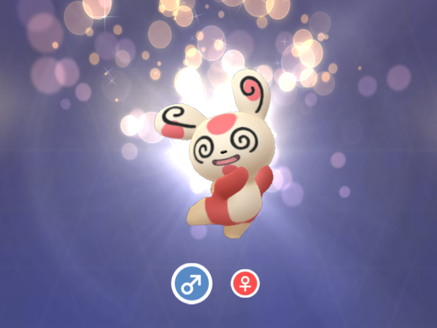 Spinda No.8