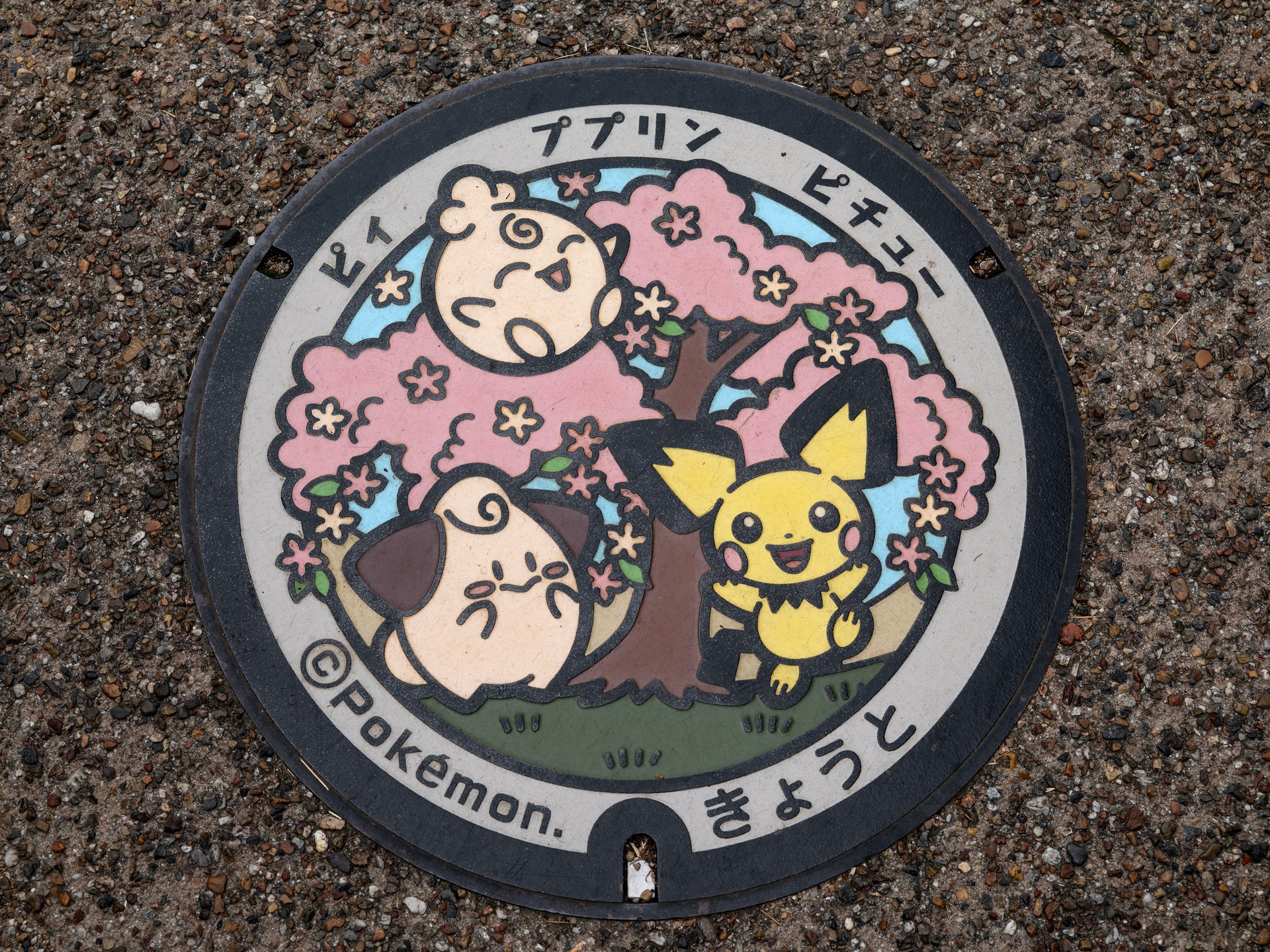 Poke Lids 寶可夢人孔蓋