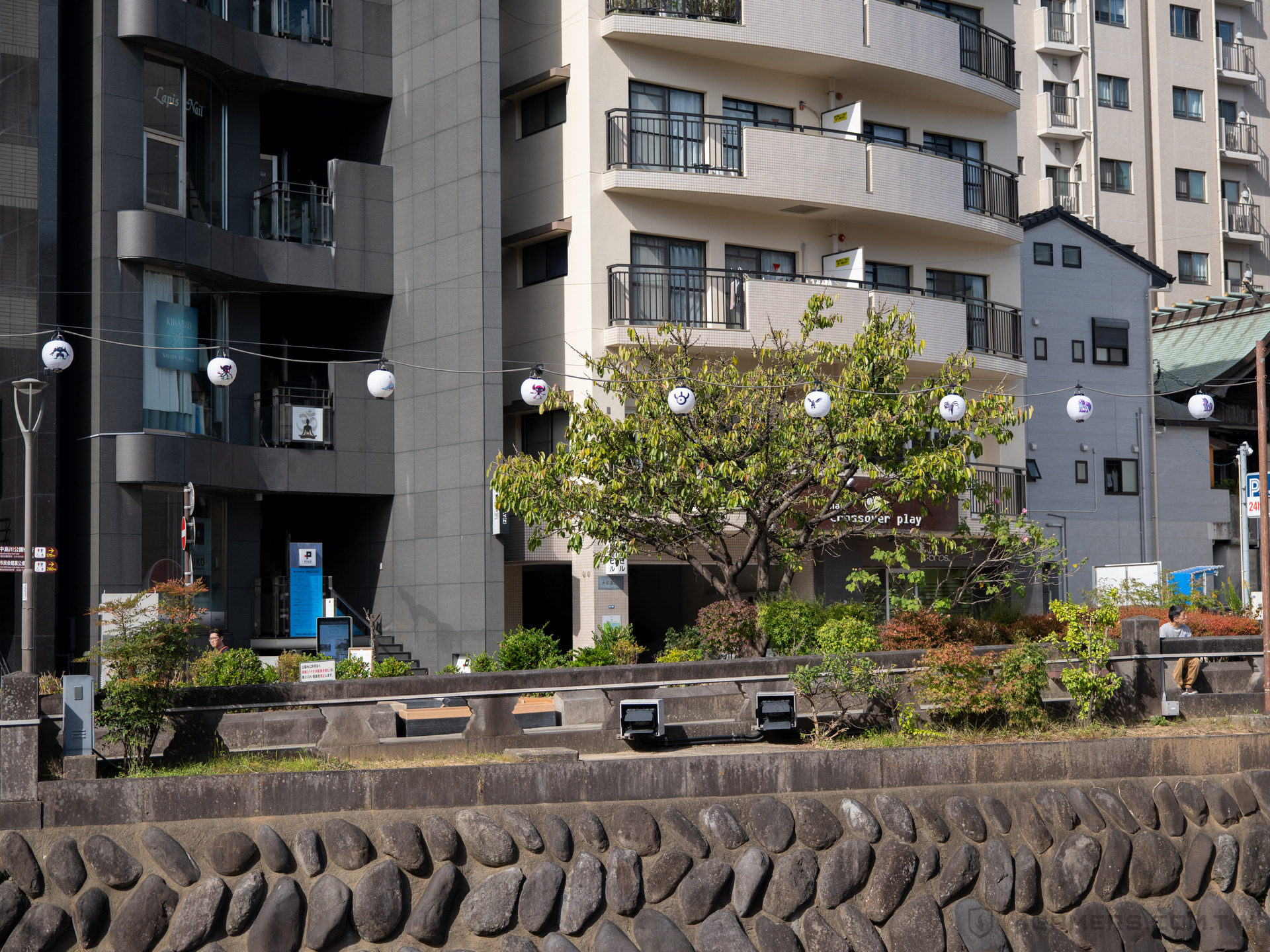 Pokemon GO Wild Area 曠野地帶 2025 長崎 Pokegenic