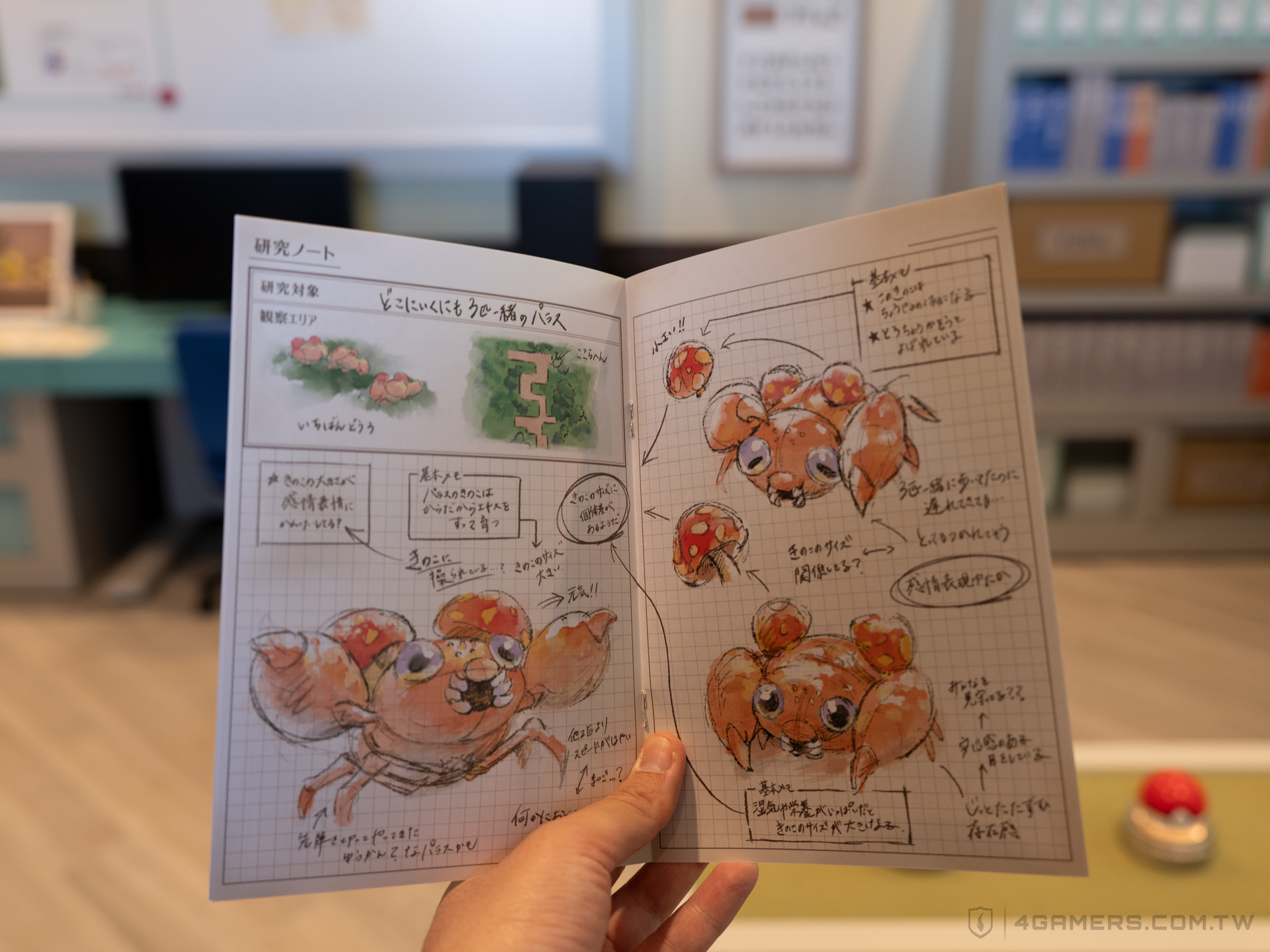 PokéPark KANTO 寶可樂園:關都