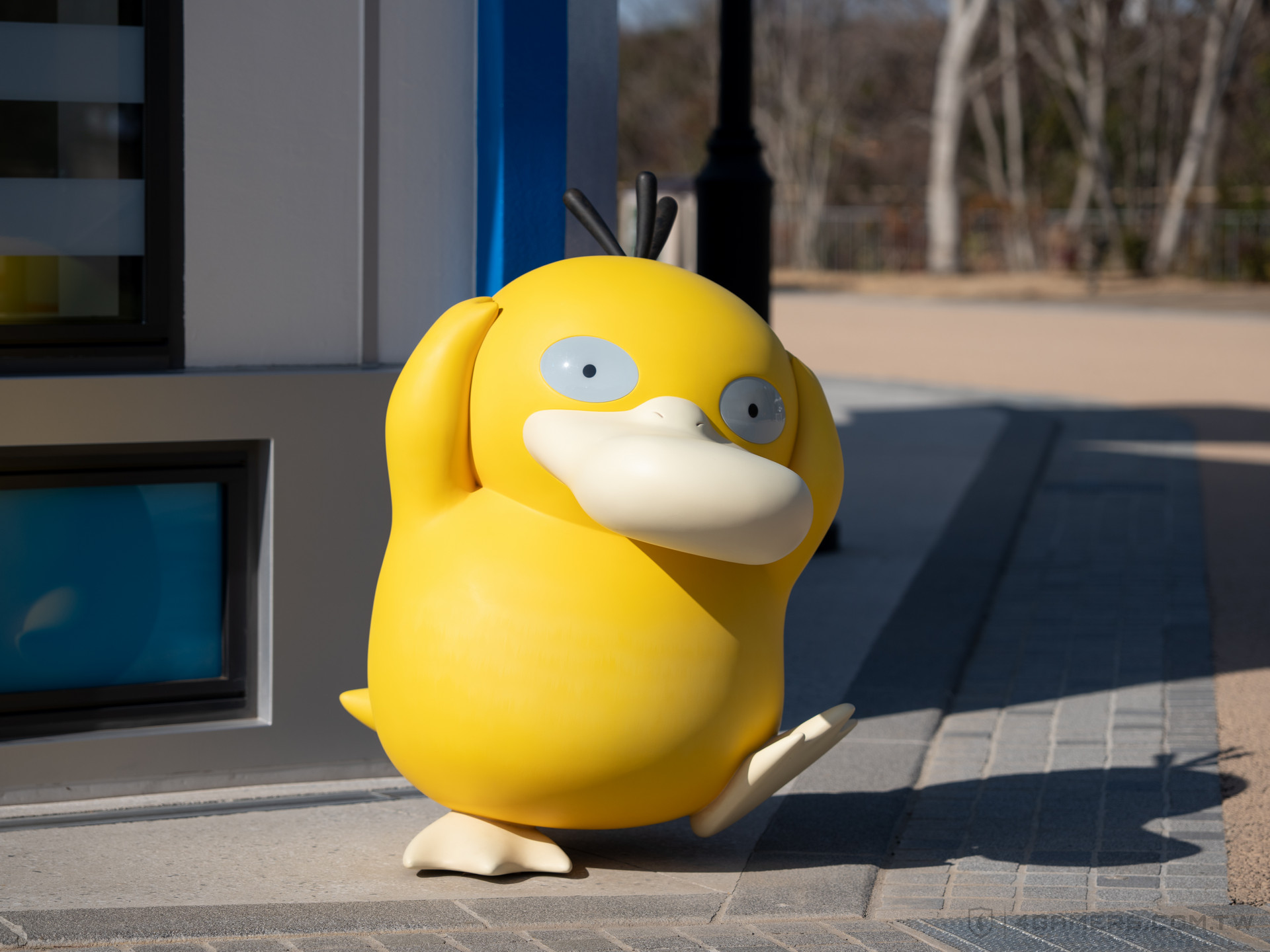PokéPark KANTO 寶可樂園:關都