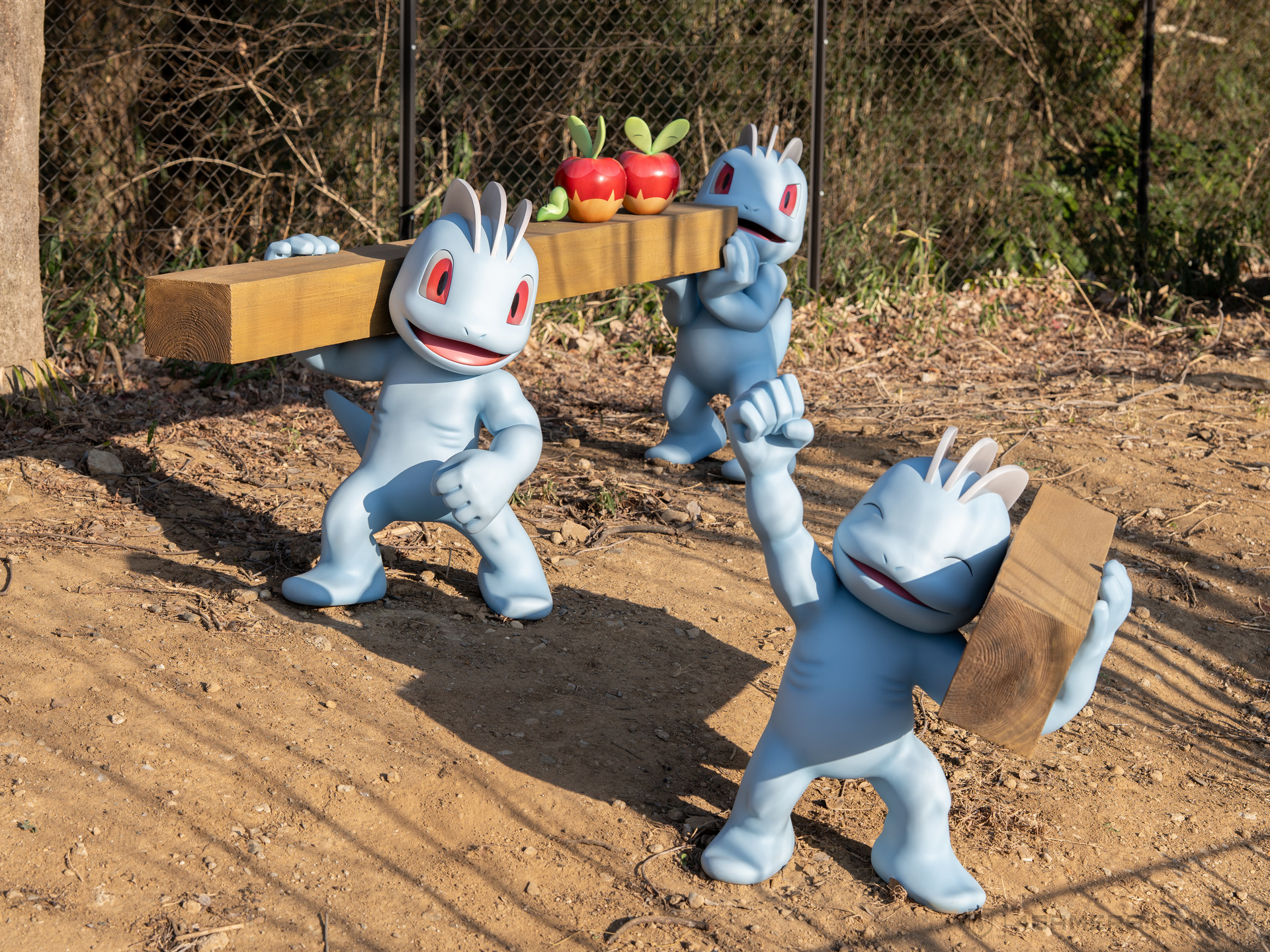 PokéPark KANTO 寶可樂園:關都