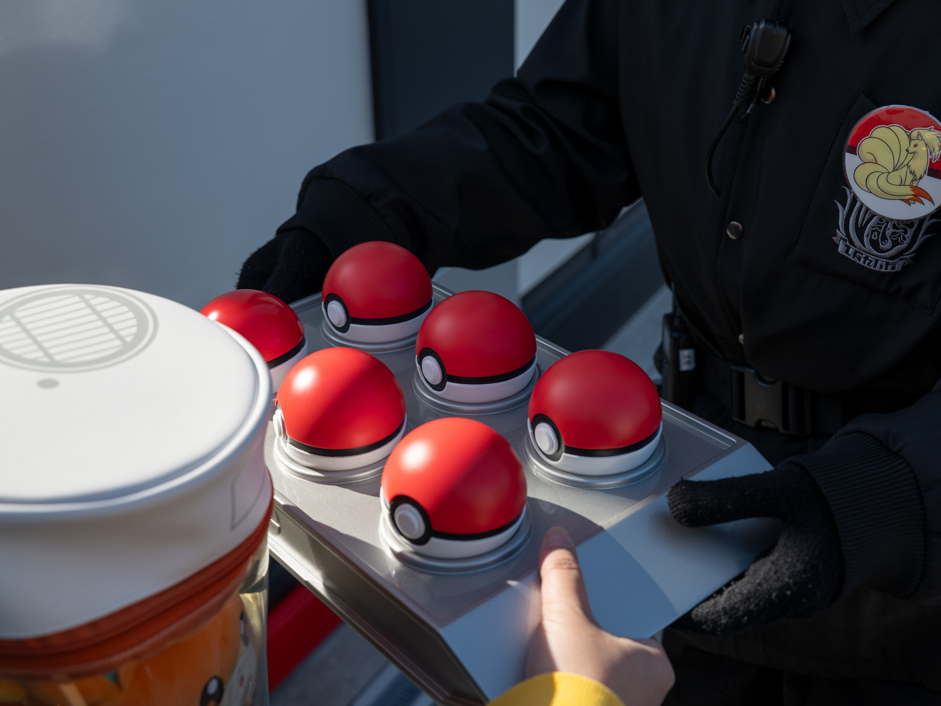 PokéPark KANTO 寶可樂園:關都