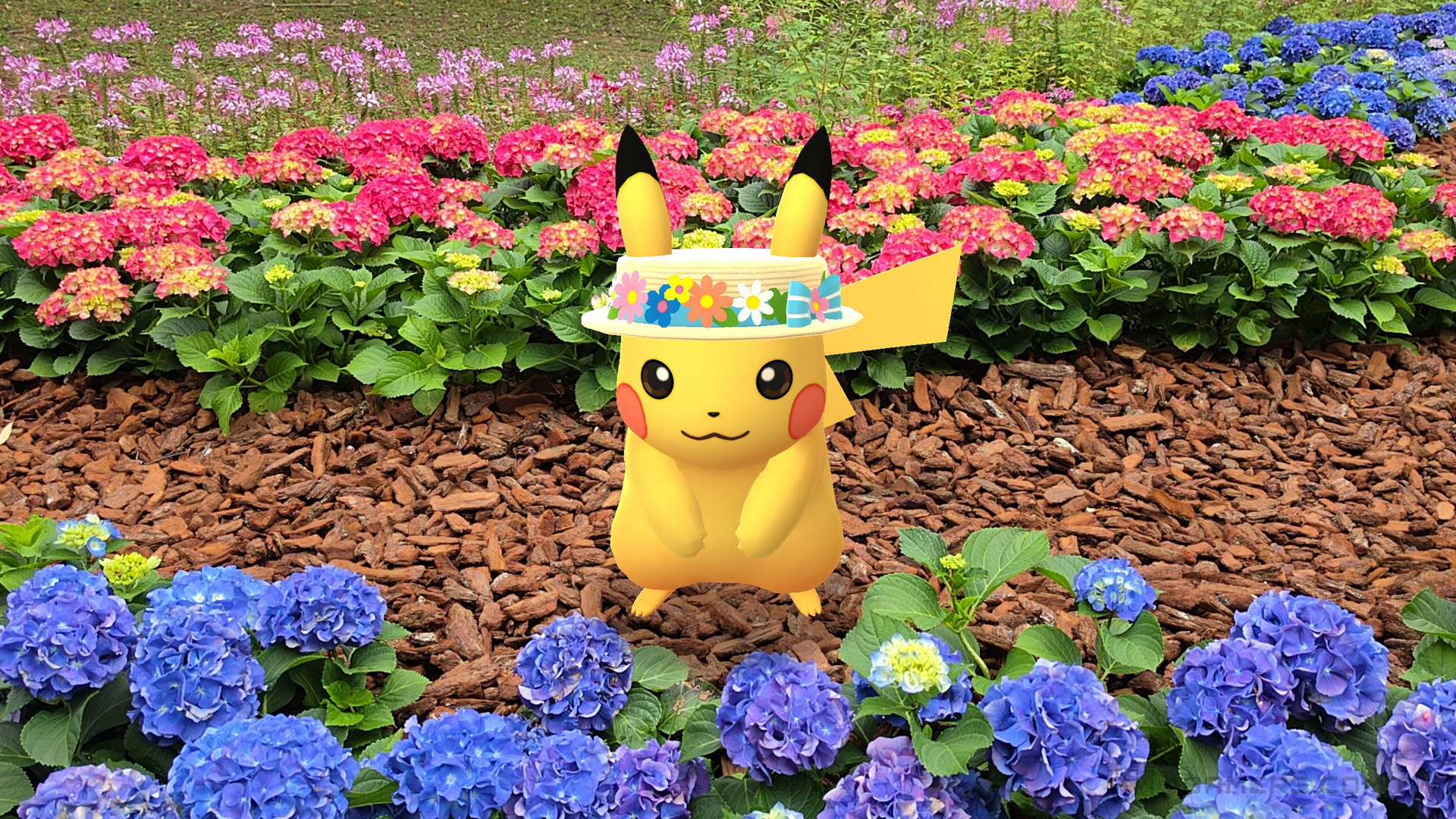 《Pokemon GO》2026 台北花伴野餐