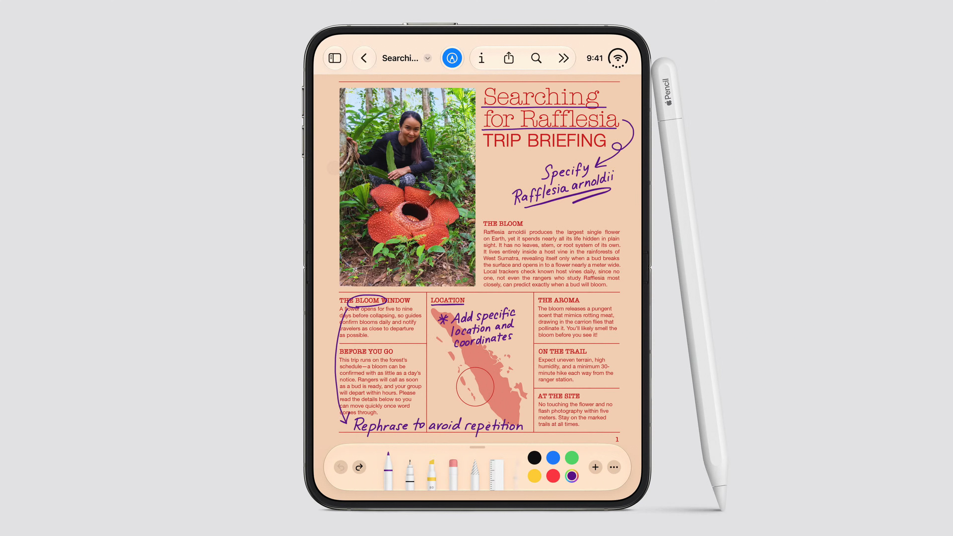Apple iPhone Duo with Apple Pencil
