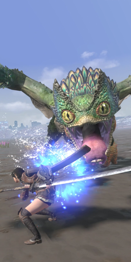 02_Hunt_05_Pukei-Pukei_LongSword