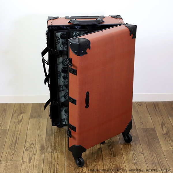 210616-carrycase-6