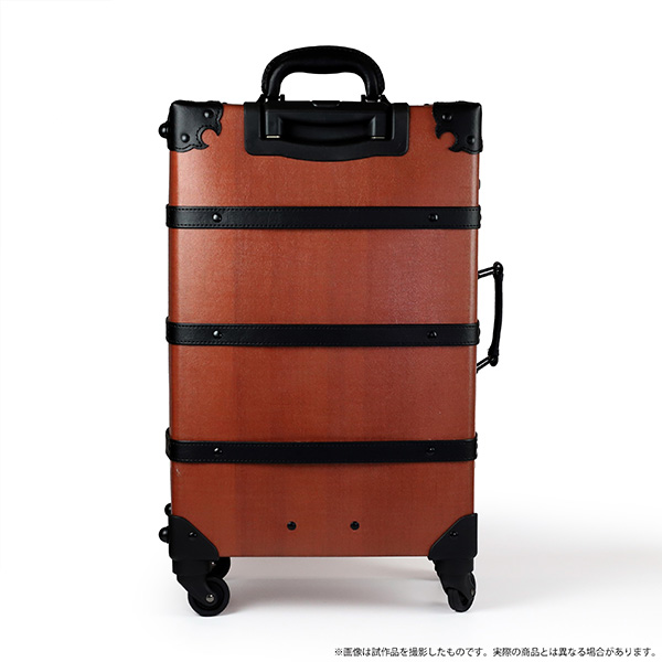 210616-carrycase-7