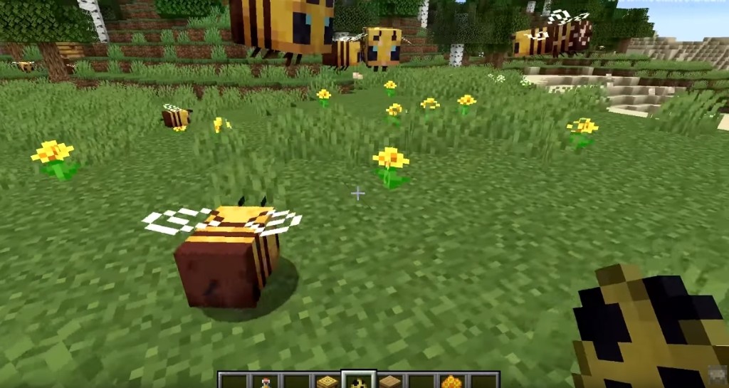 Minecraft 有蜜蜂了 牠長得方方的 而且你還能騎在蜜蜂上 4gamers