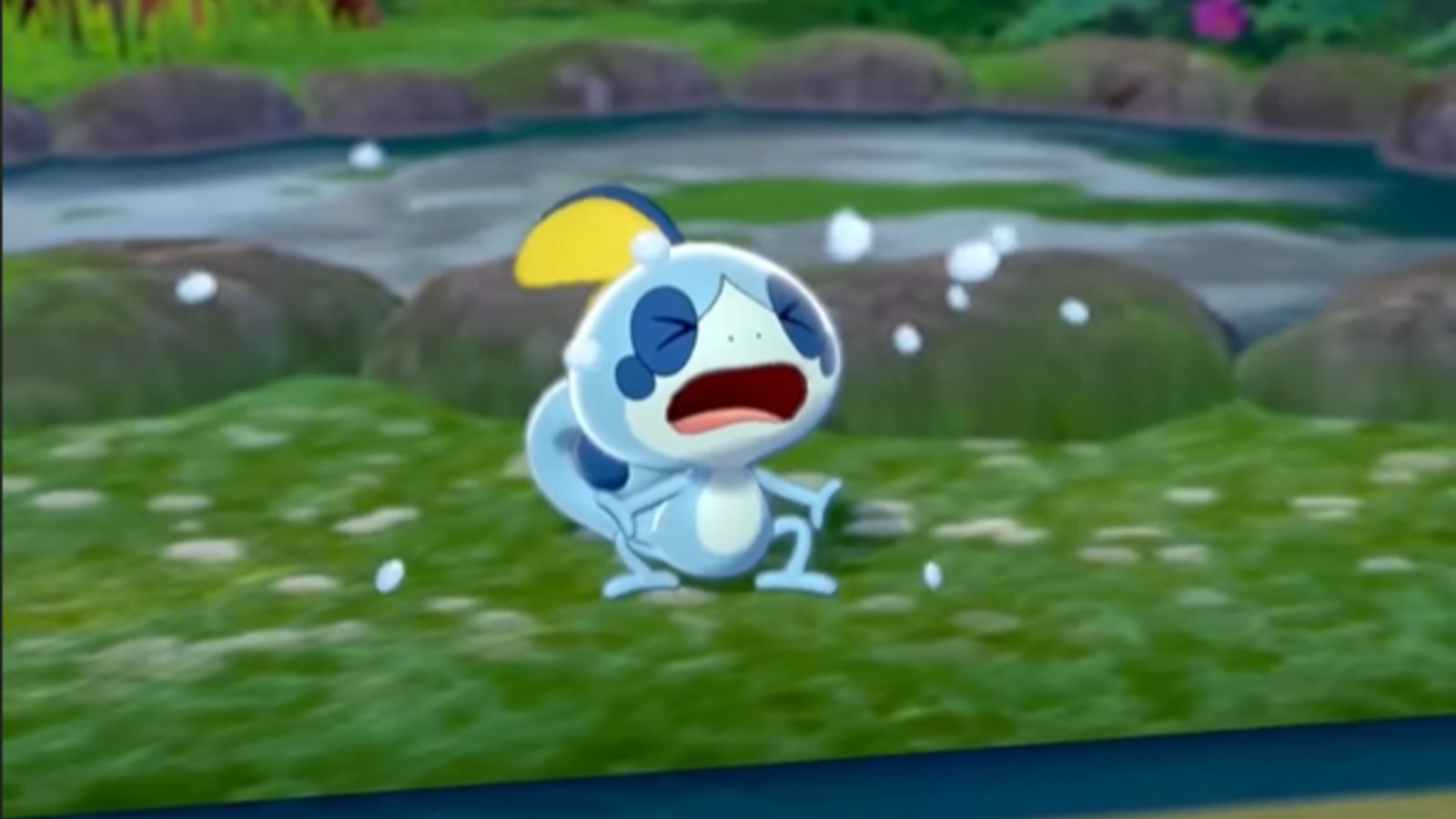 寶可夢》玩家Switch 2資料轉移釀災，20年老夥伴、逾千小時進度秒歸零| 4Gamers