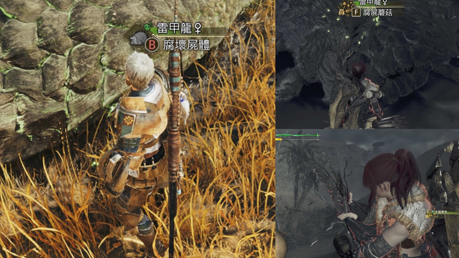 [情報] 魔物獵人荒野社群廣傳金之鍊金票爽農法