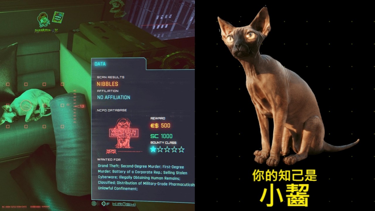 The Infamous Cat: Nibbles’ Criminal Exploits in Cyberpunk 2077