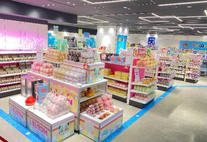 上野成人玩具反斗城 (1)