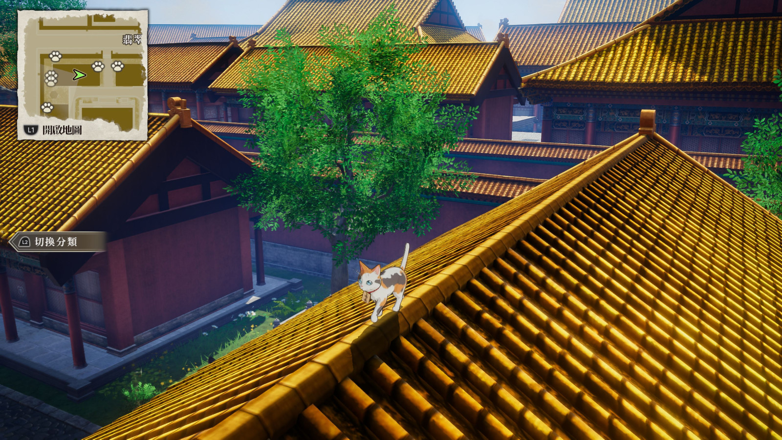 009_ps5_tc