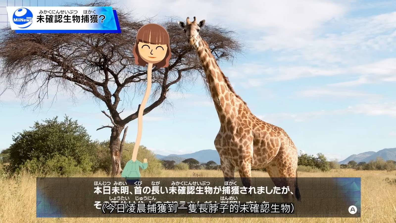 Tomodachi Life ___園_ 憭Ｘ_暑Direct (10)