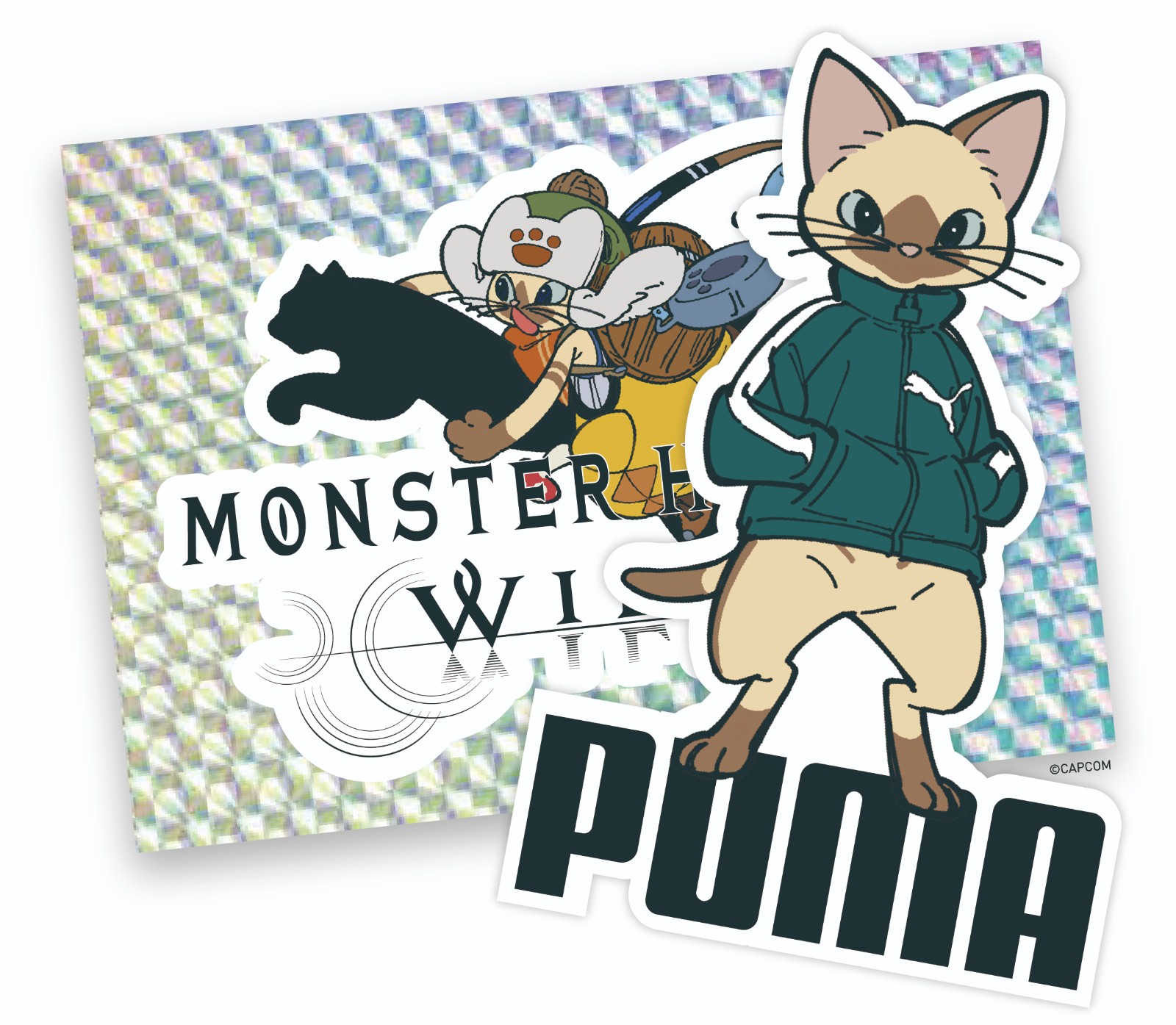 monster-hunter puma (2)