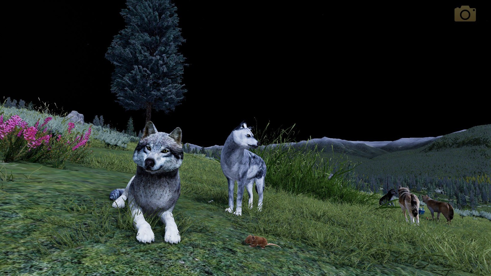 wolf08