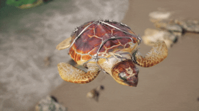 eac33975db3a3931ce71b7b3dca533ba