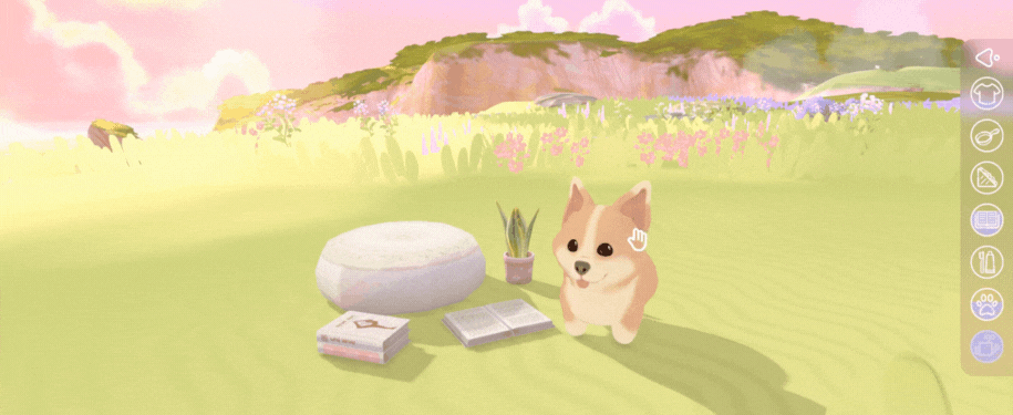 pet