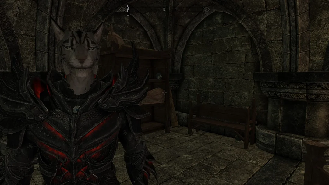 my-17-year-old-cat-i-had-since-i-was-13-passed-away-2-weeks-v0-zskczhacd1vg1