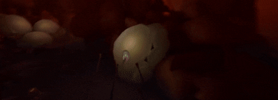 d86b1b532e1273be9a23fabe3620114e