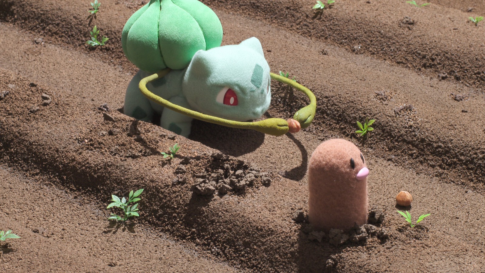 250828-pokemon-12