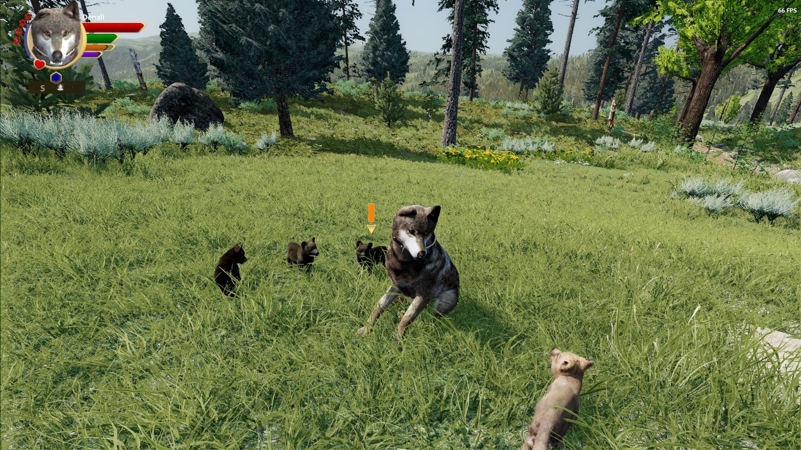 wolf03
