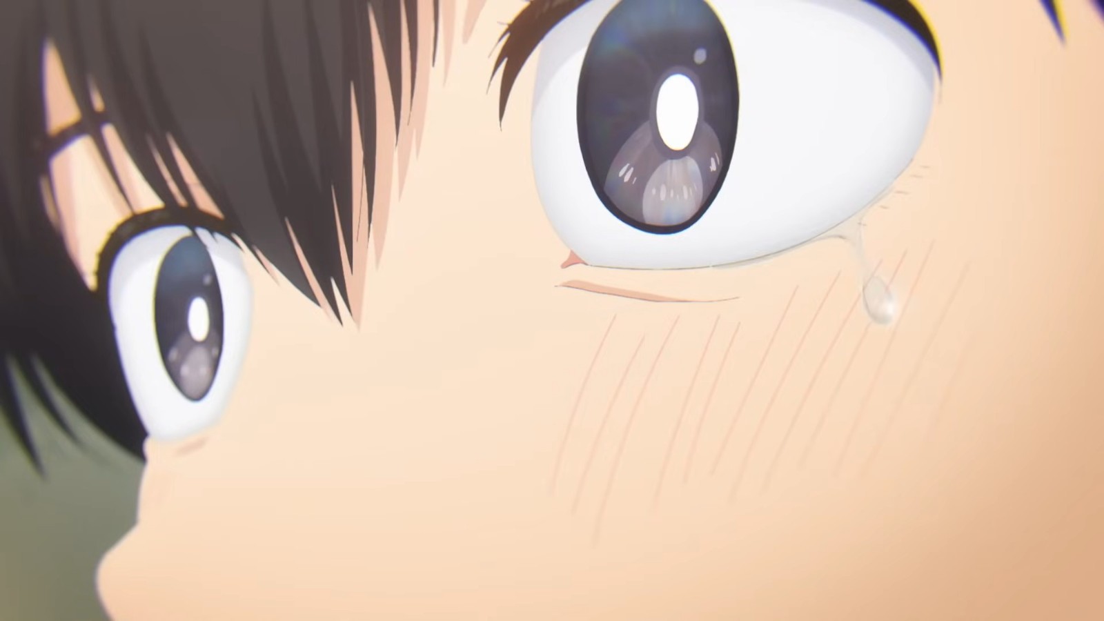 MAPPA _典僑閮艙 _押_喋____箄”隡APPA th Anniversary Lineup Reveal(38)