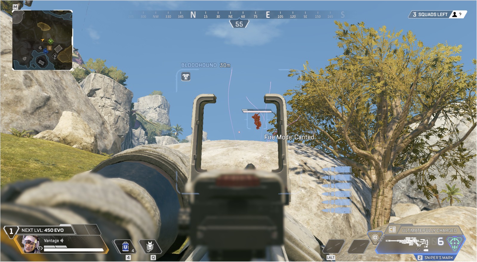 Vantage Canted Sight