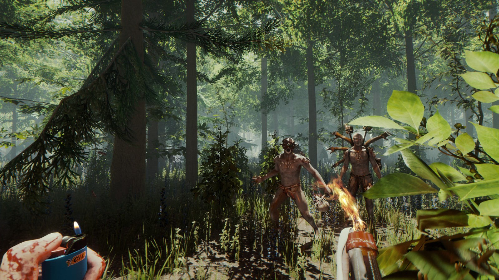 260609_forest (2)