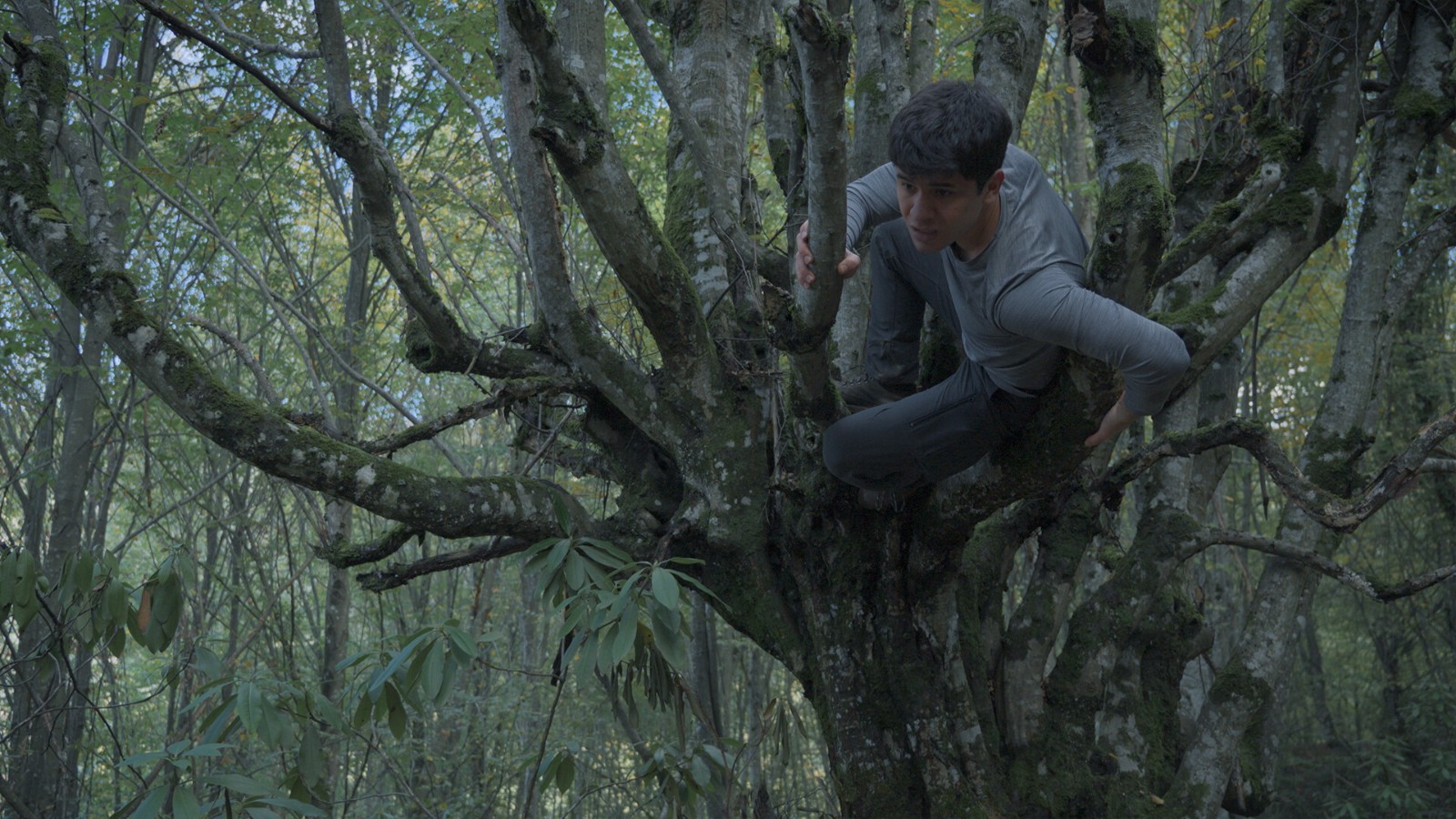 ss_b3c9630e82034968bacf2e19603fe33ddd8142f6.1920x1080