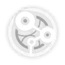 250430_anaxa (5)