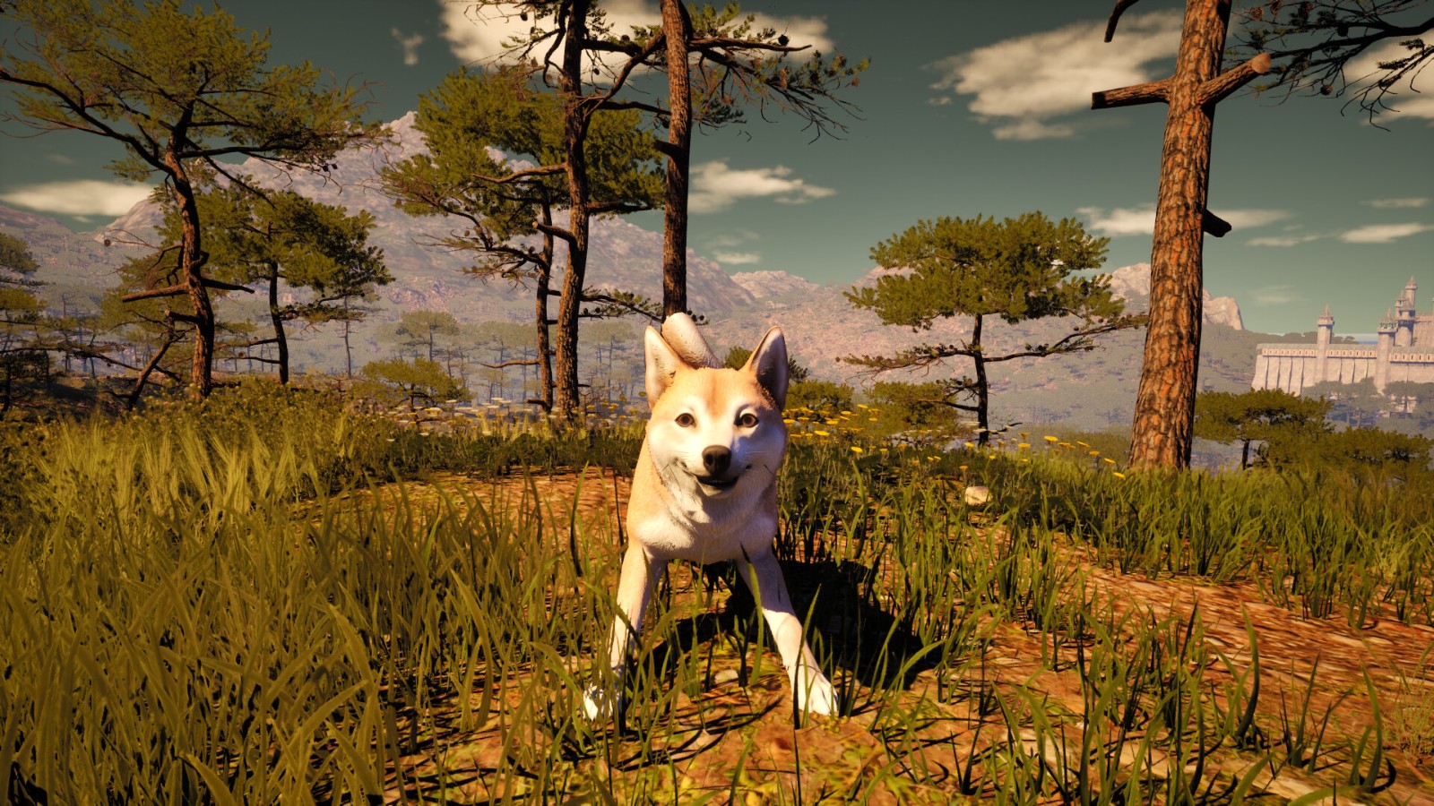 ss_105c070784422be27a25f937c14b009c2f519a24.1920x1080