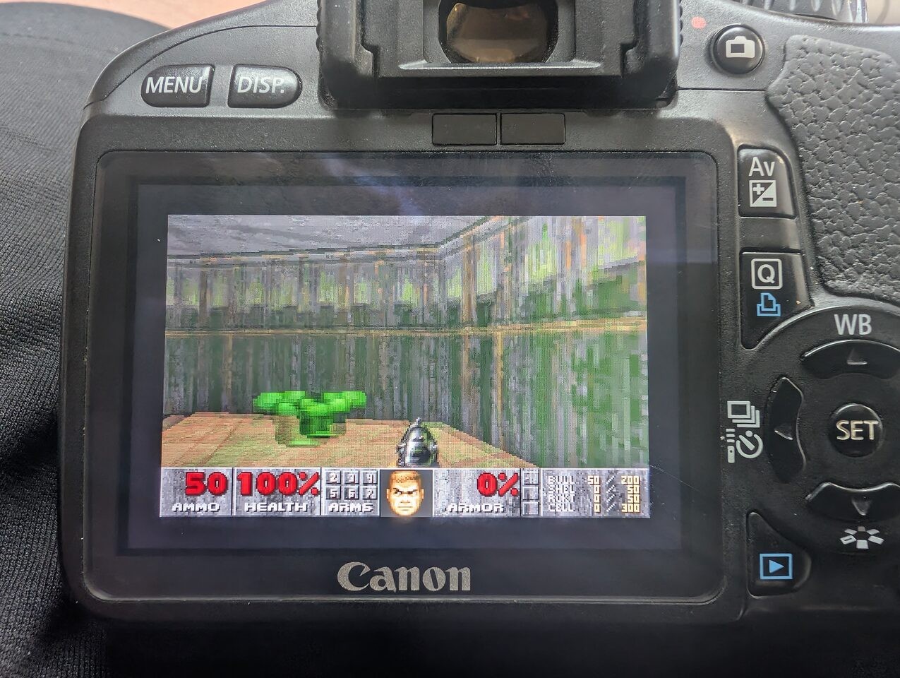 doom_ingame1