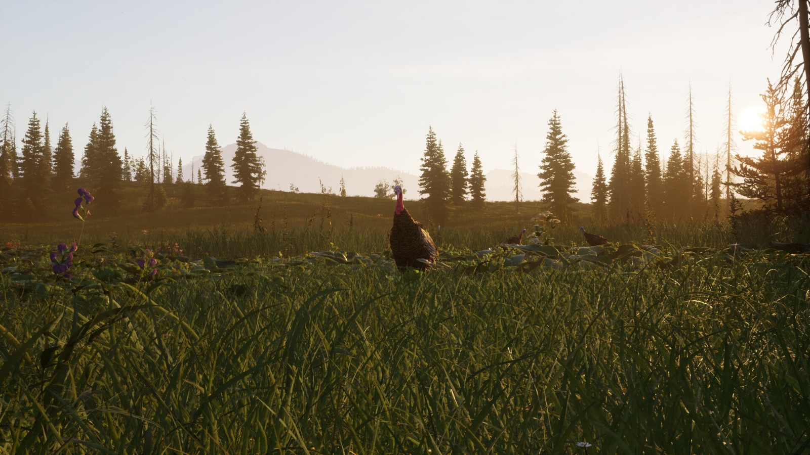 ss_6cf2a721ded534efd5fb2bb74f05f2381145629e.1920x1080