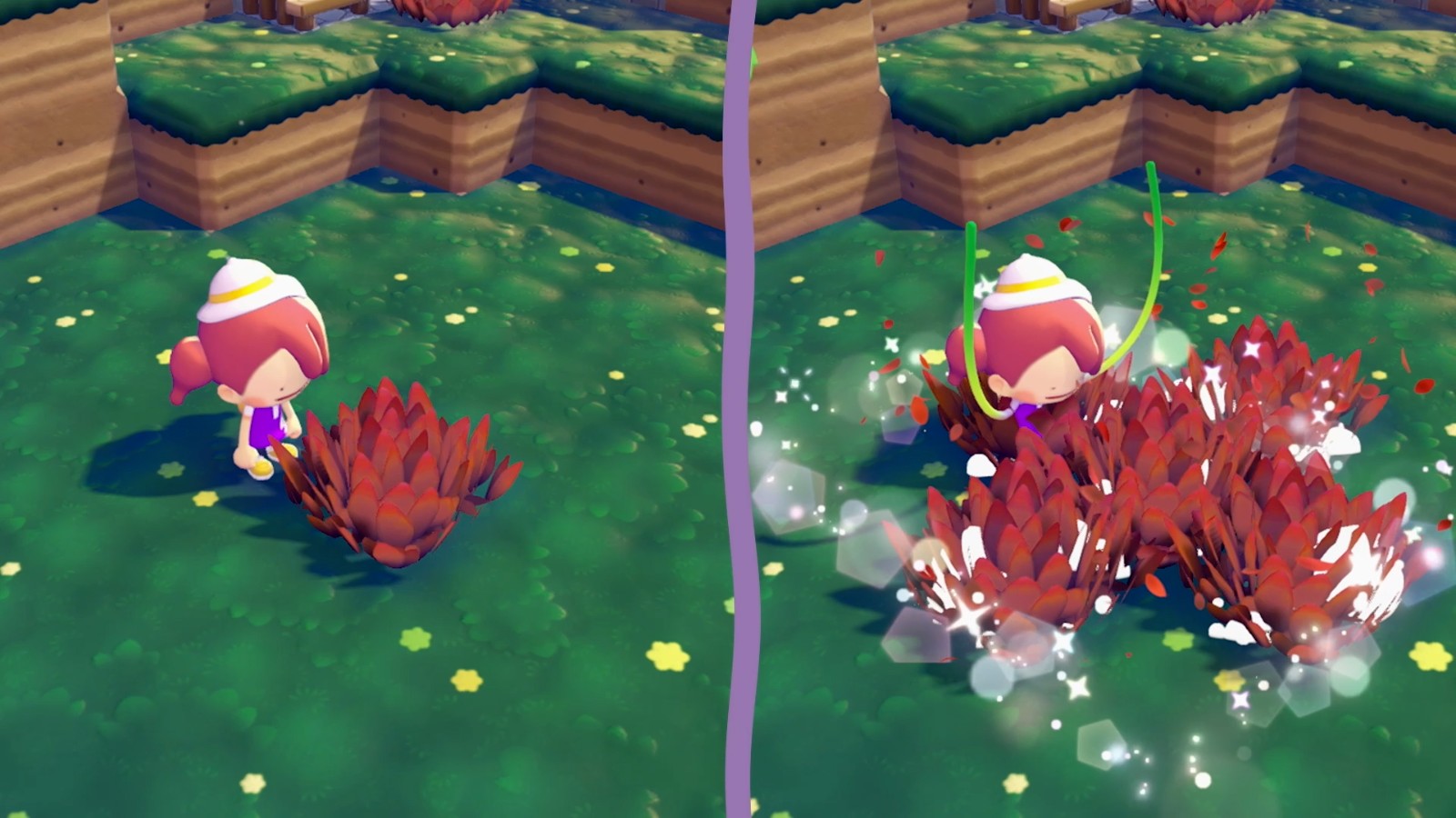 16_藏飽栗鼠介紹5