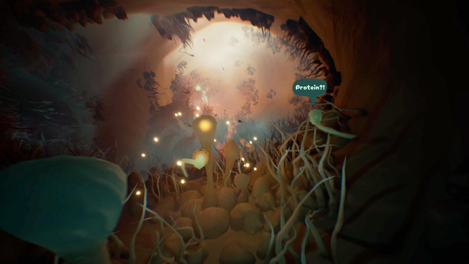 ss_c2dc1fd722e58b19f0395e57c98feed5fd9d682d.1920x1080