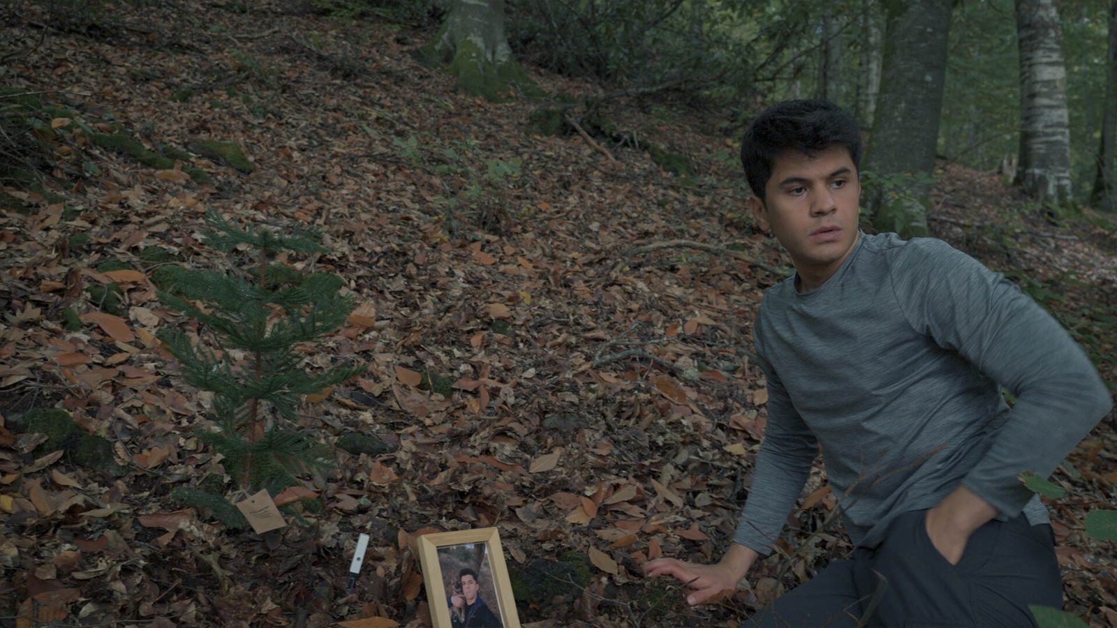 ss_8d64be28e985d79d20b05d87e6a5a961e8aeca53.1920x1080