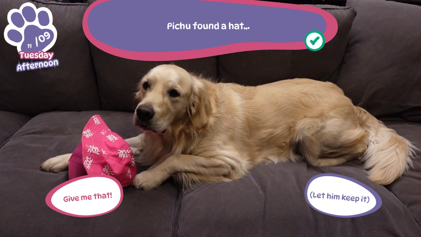 Golden_Retriever_Simple_Life_06