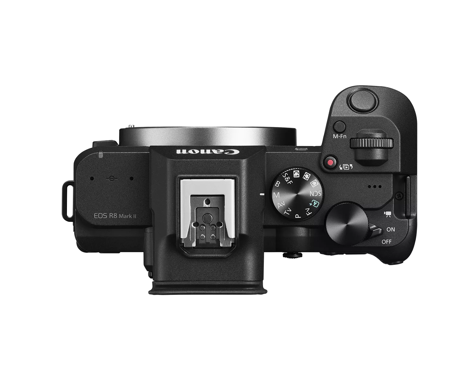 7503C010-EOS-R8-Mark-II-Lens-Kit-4