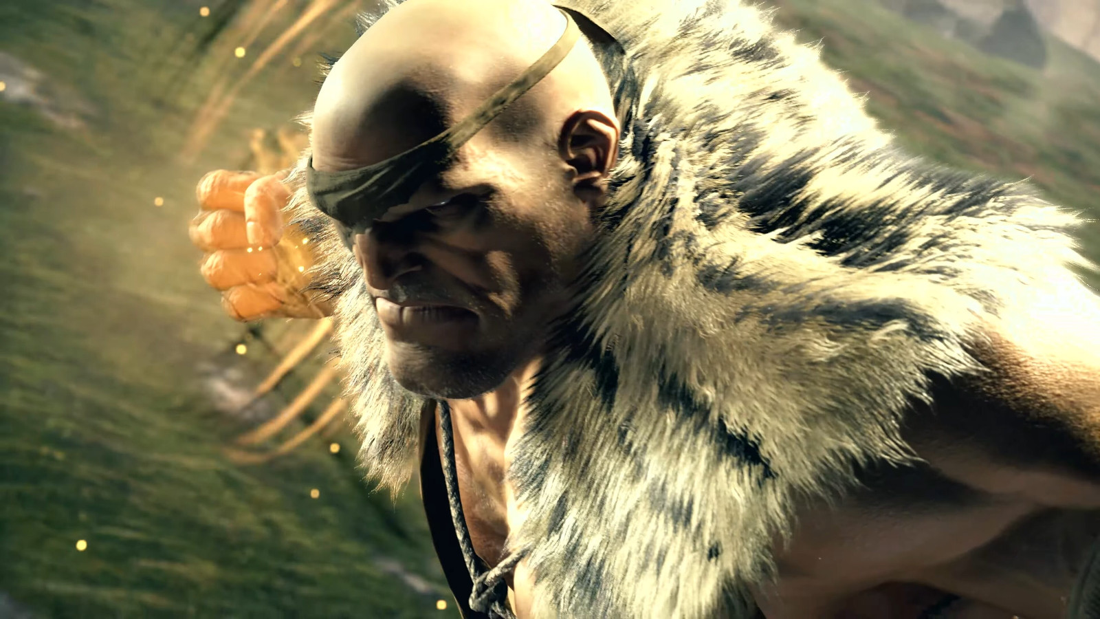 SF6-DLC-Sagat_06-26-25