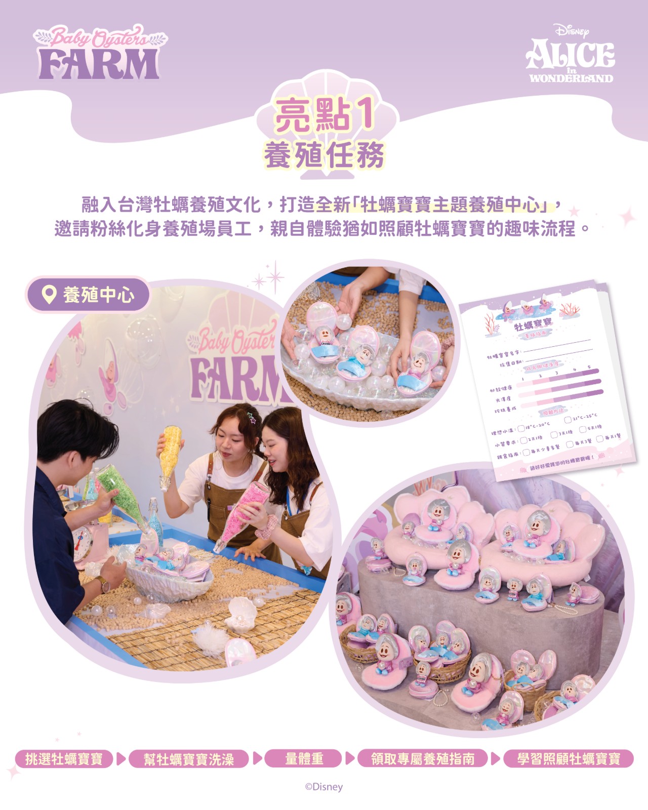 Baby Oysters Farm @ Taiwan-highlight_20260803-02