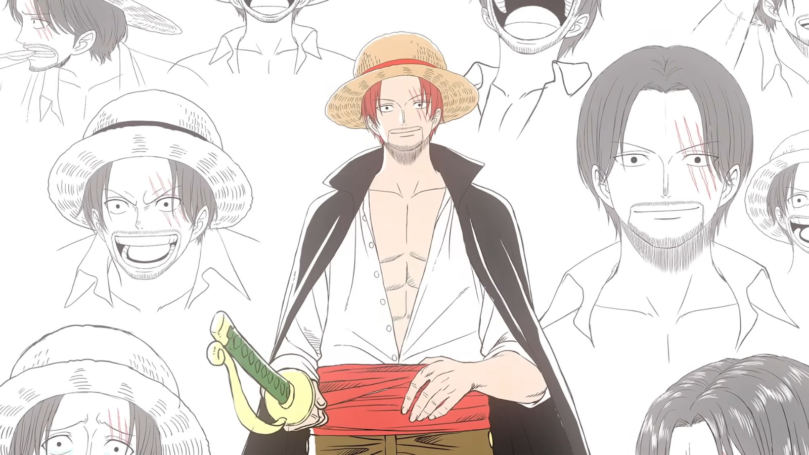 wit studio the one piece-11