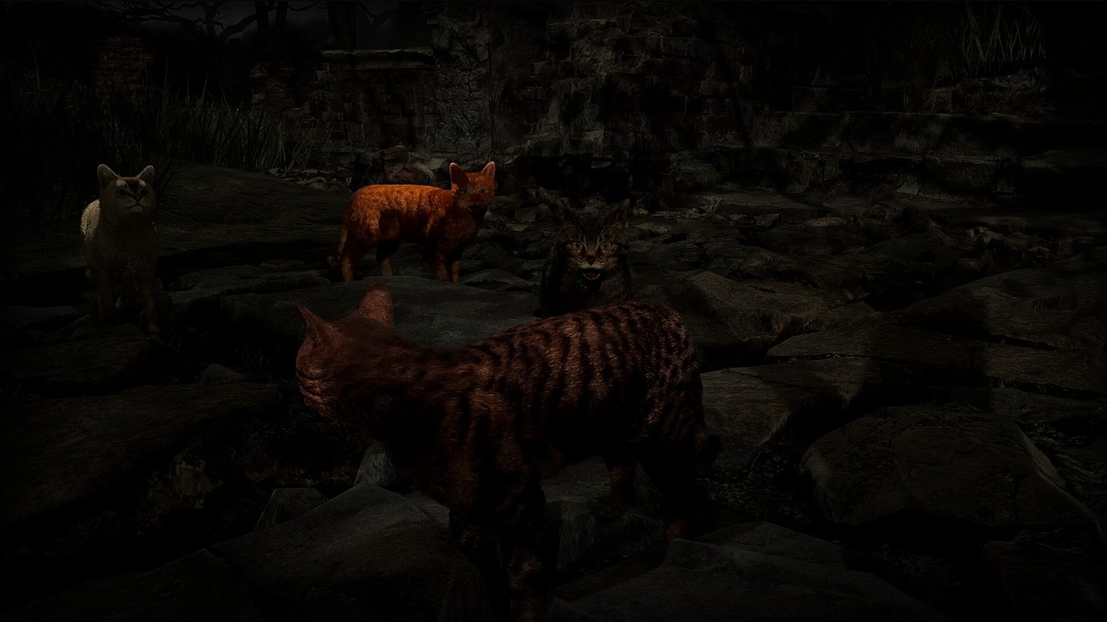 ss_7ba8aa1f73ea9d90e48f2d330f5c1708a5b458f0.1920x1080