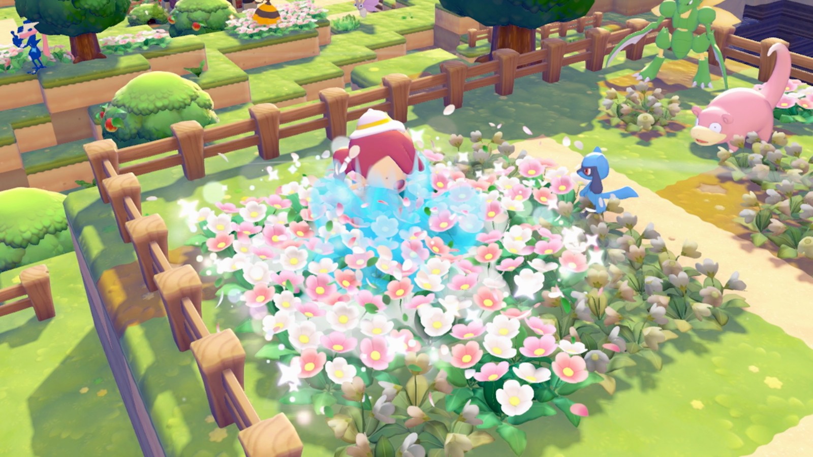 17_藏飽栗鼠介紹6