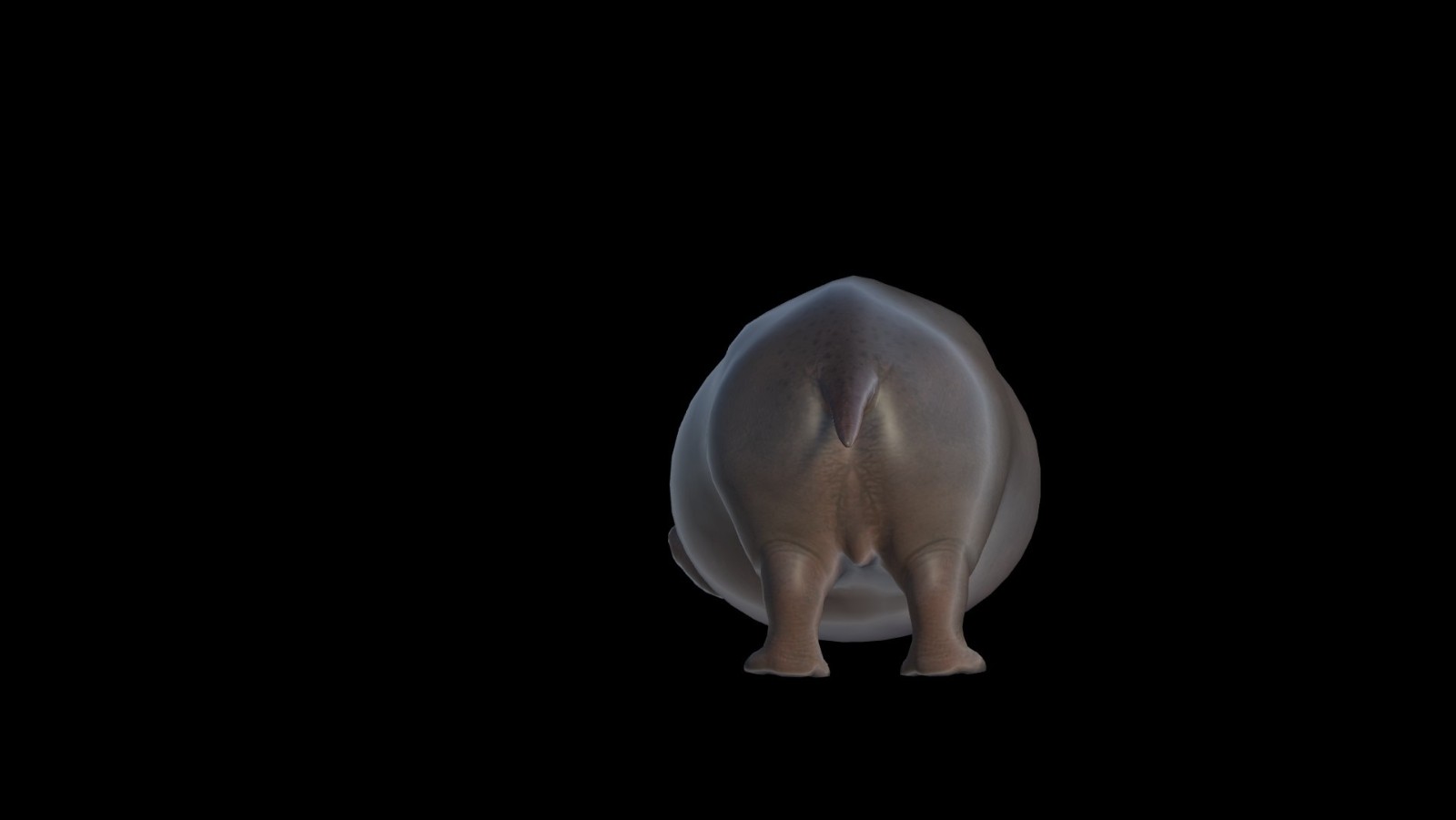 hippo butt