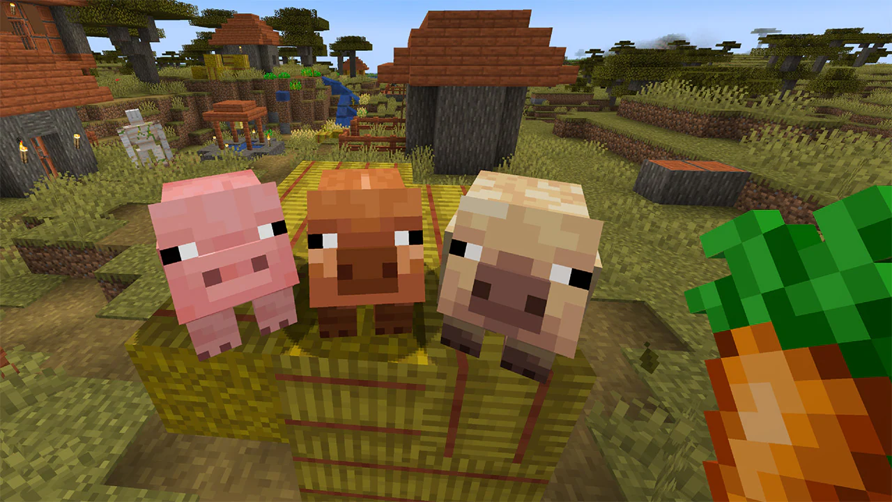 MCV_SpringDrop_testing_Jan8_Pig variants_4c_1280x720