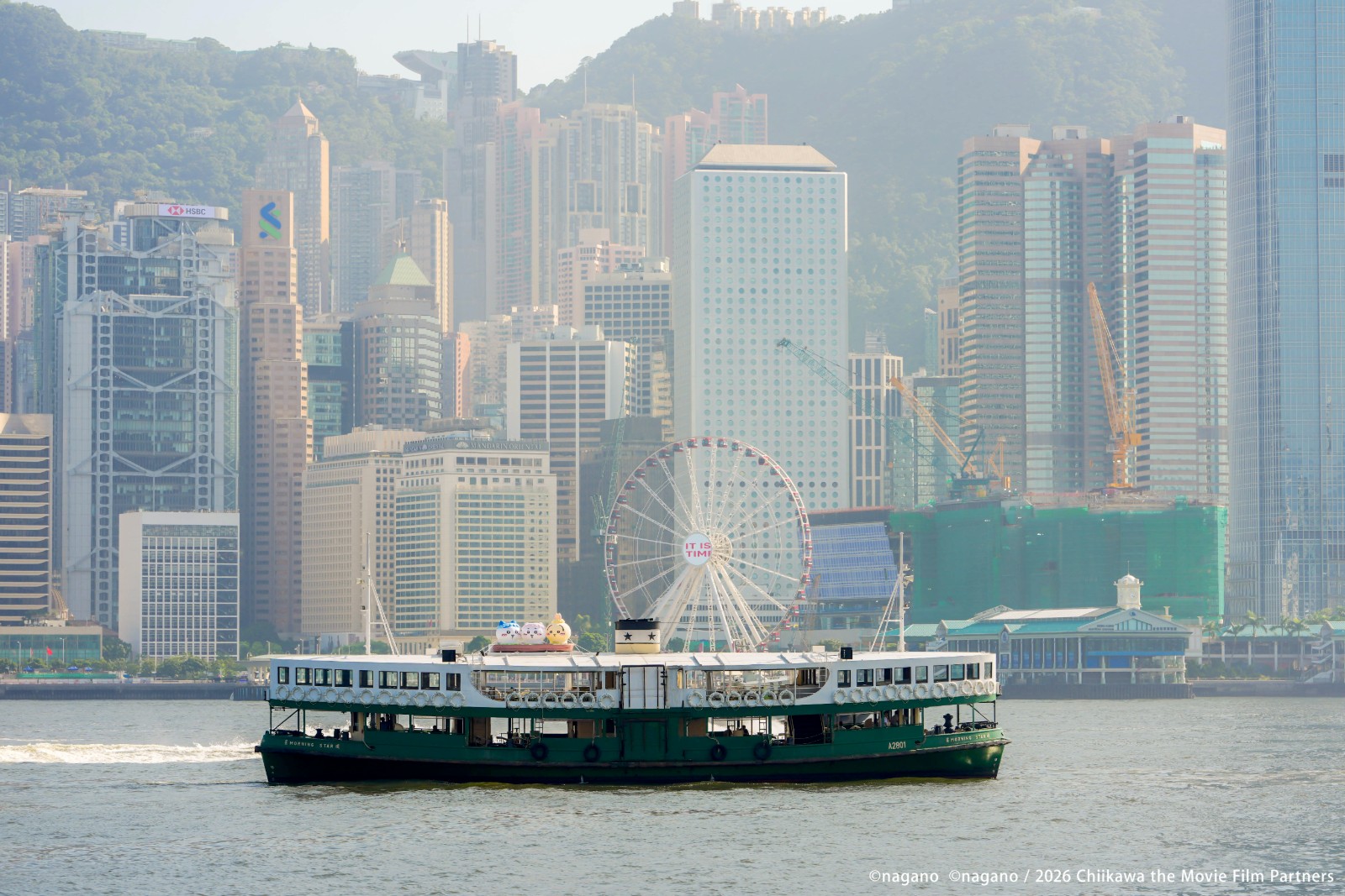《劇場版 CHIIKAWA 人魚島的秘密》 x Star Ferry_PR Photo 13