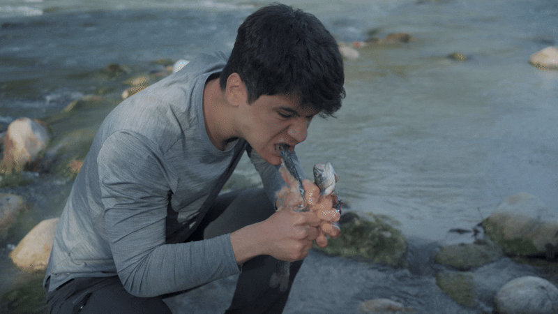 aa5575259be163e12a9192421a408991